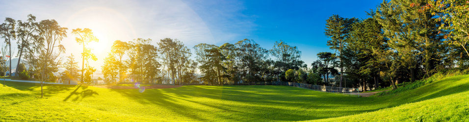 Thameside Putters Golf Society